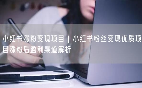 小红书涨粉变现项目｜小红书粉丝变现优质项目涨粉后盈利渠道解析