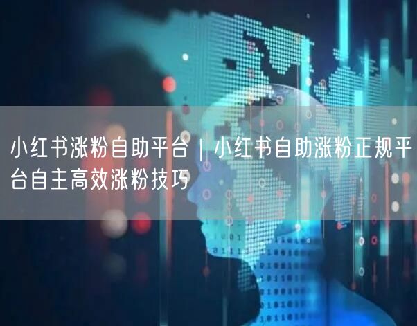 小红书涨粉自助平台｜小红书自助涨粉正规平台自主高效涨粉技巧