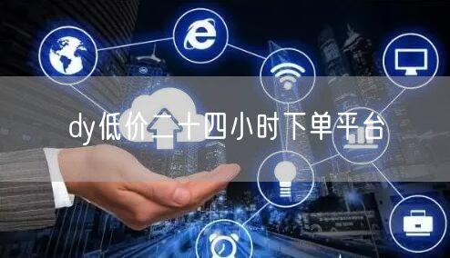 dy低价二十四小时下单平台