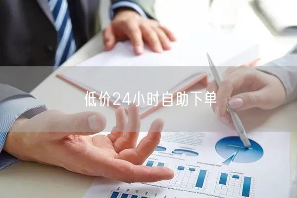 低价24小时自助下单