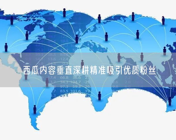 西瓜内容垂直深耕精准吸引优质粉丝