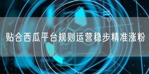贴合西瓜平台规则运营稳步精准涨粉