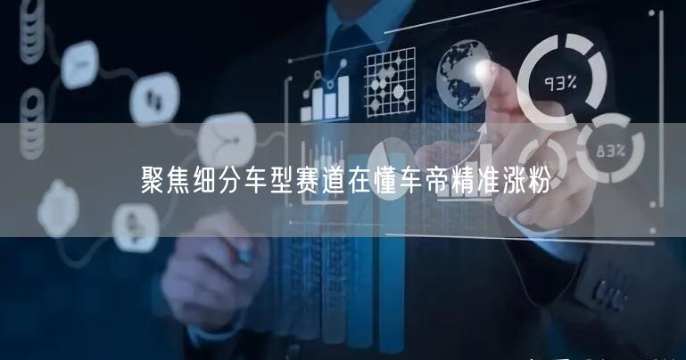 聚焦细分车型赛道在懂车帝精准涨粉