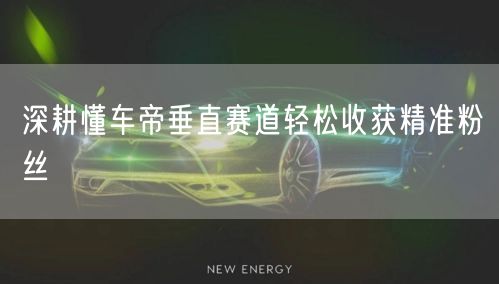深耕懂车帝垂直赛道轻松收获精准粉丝