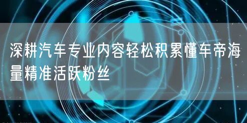 深耕汽车专业内容轻松积累懂车帝海量精准活跃粉丝