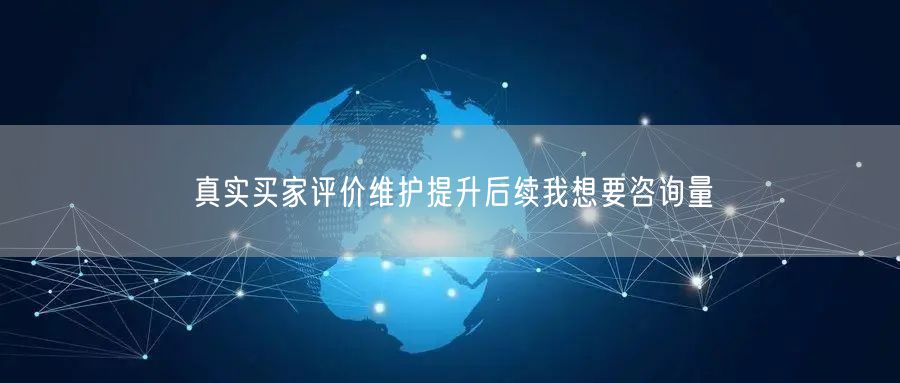 真实买家评价维护提升后续我想要咨询量