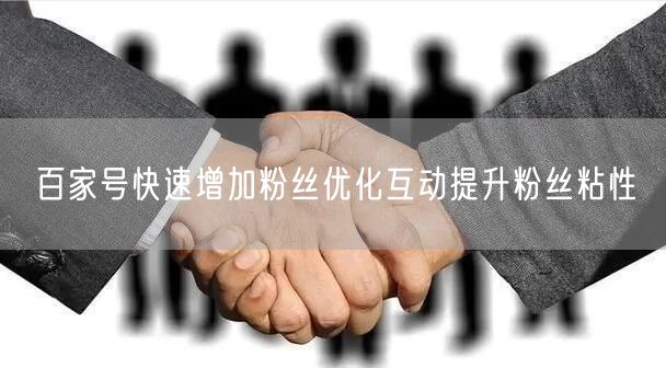 百家号快速增加粉丝优化互动提升粉丝粘性