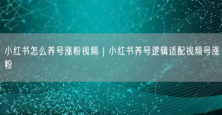 小红书怎么养号涨粉视频｜小红书养号逻辑适配视频号涨粉