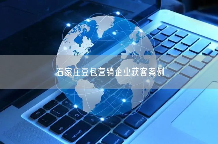 石家庄豆包营销企业获客案例