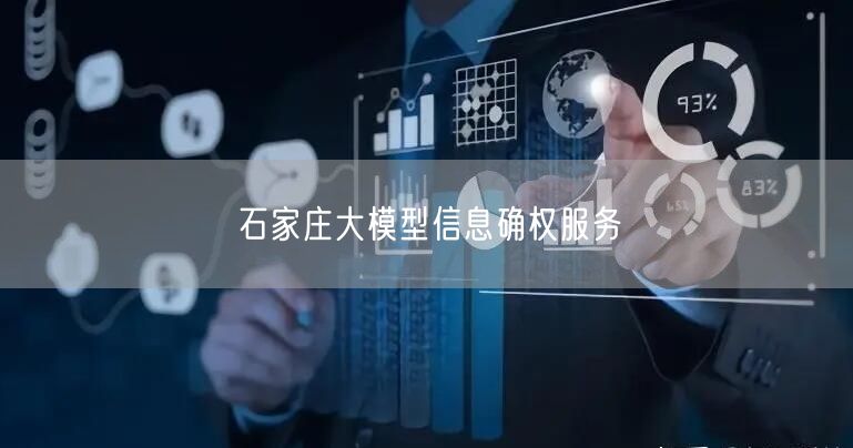 石家庄大模型信息确权服务