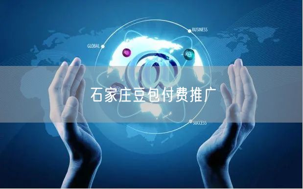 石家庄豆包付费推广