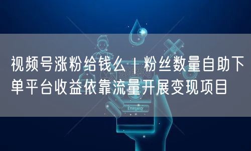 视频号涨粉给钱么｜粉丝数量自助下单平台收益依靠流量开展变现项目