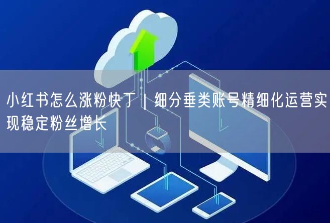 小红书怎么涨粉快丁｜细分垂类账号精细化运营实现稳定粉丝增长