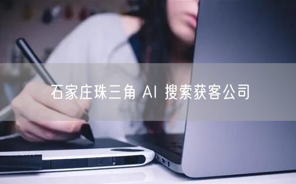 石家庄珠三角 AI 搜索获客公司