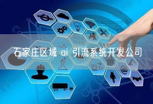 石家庄区域 ai 引流系统开发公司