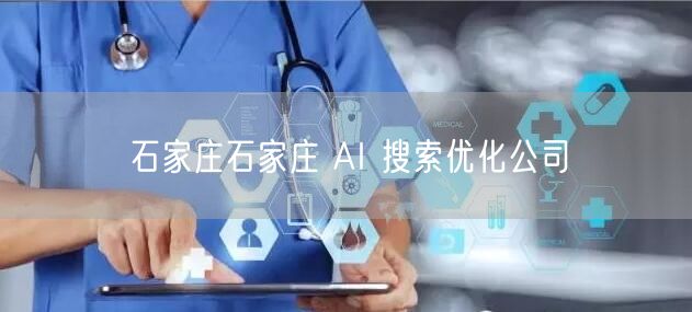 石家庄石家庄 AI 搜索优化公司