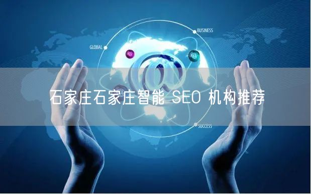石家庄石家庄智能 SEO 机构推荐