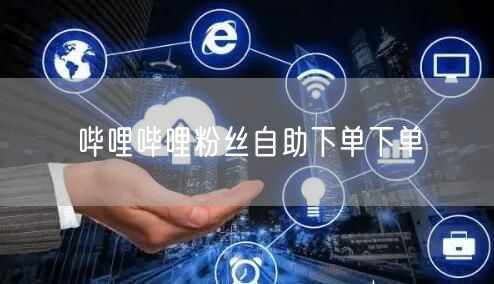 哔哩哔哩粉丝自助下单下单