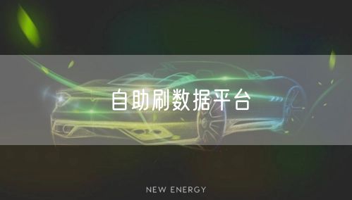 自助刷数据平台