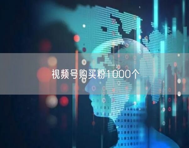 视频号购买粉1000个