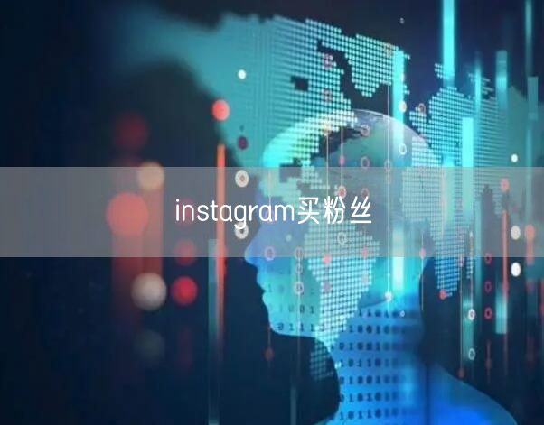 instagram买粉丝