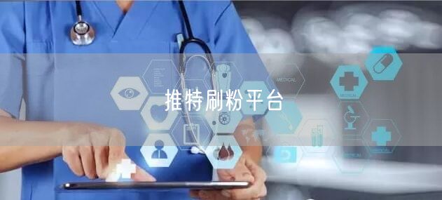 推特刷粉平台
