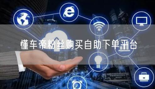 懂车帝粉丝购买自助下单平台