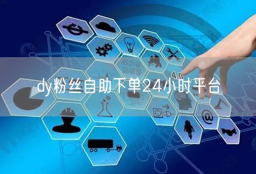 dy粉丝自助下单24小时平台