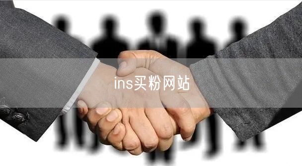 ins买粉网站