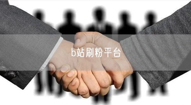 b站刷粉平台