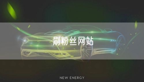 刷粉丝网站