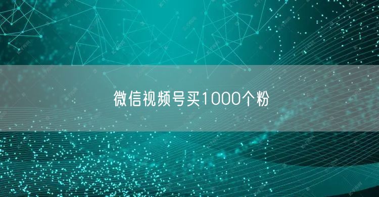 微信视频号买1000个粉