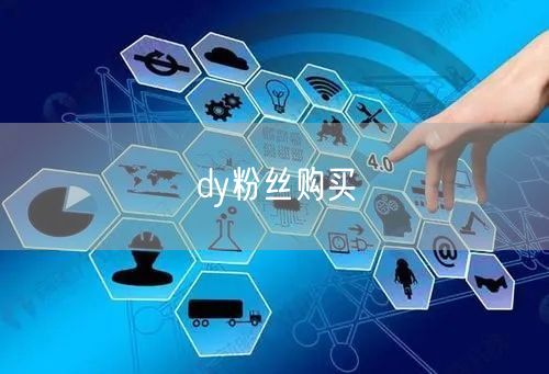 dy粉丝购买