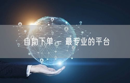自助下单 - 最专业的平台