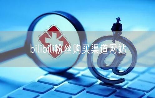 bilibili粉丝购买渠道网站