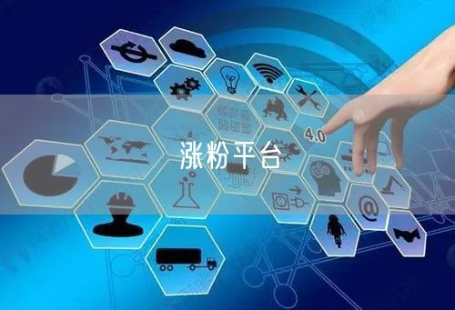 涨粉平台
