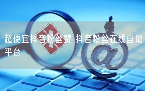 超便宜抖音粉丝赞 抖音粉丝在线自助平台