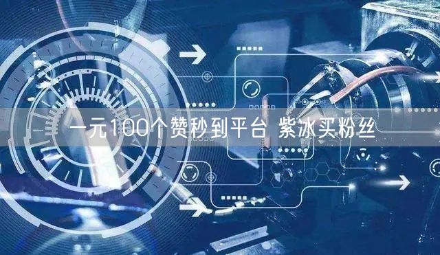 一元100个赞秒到平台 紫冰买粉丝
