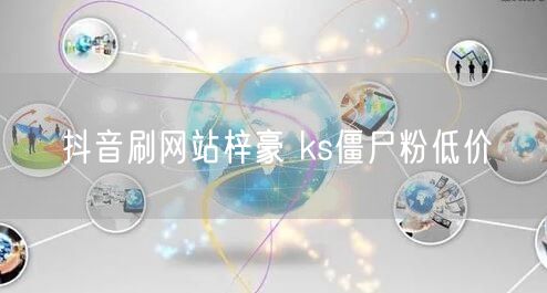 抖音刷网站梓豪 ks僵尸粉低价
