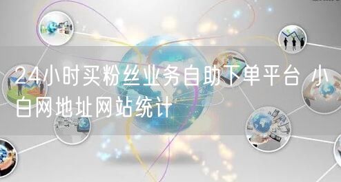 24小时买粉丝业务自助下单平台 小白网地址网站统计
