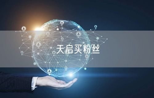 天启买粉丝