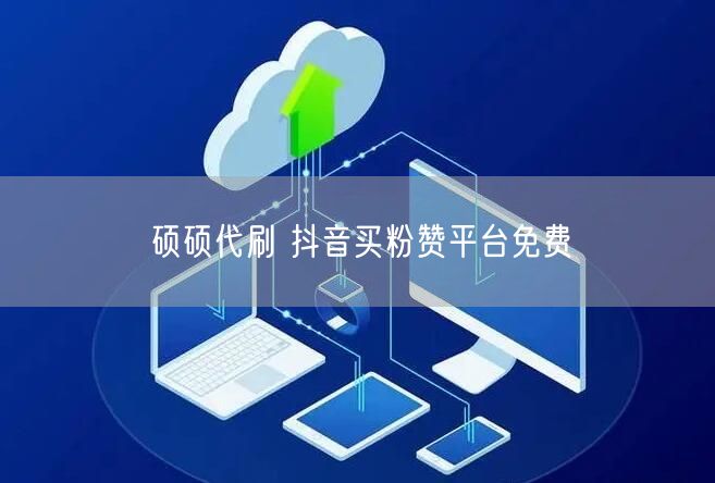 硕硕代刷 抖音买粉赞平台免费