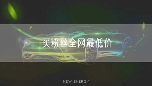 买粉丝全网最低价