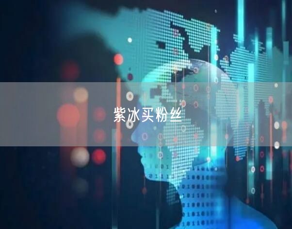 紫冰买粉丝