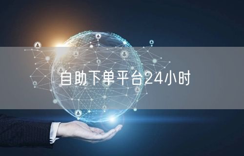 自助下单平台24小时