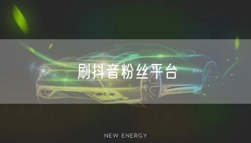 刷抖音粉丝平台