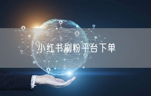 小红书刷粉平台下单
