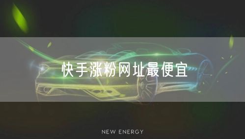 快手涨粉网址最便宜