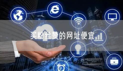 买粉丝赞的网址便宜