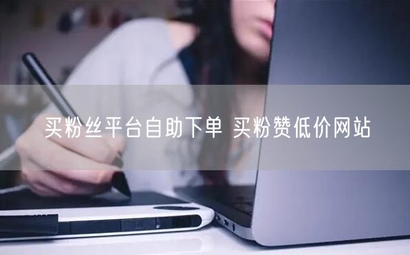 买粉丝平台自助下单 买粉赞低价网站